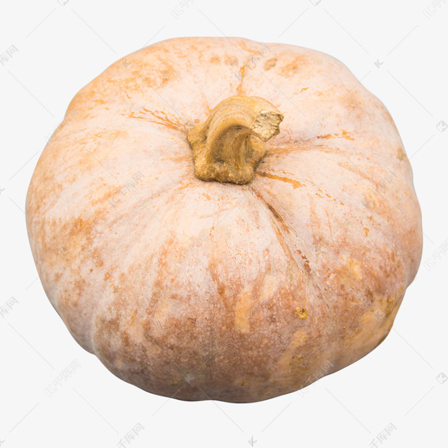 黄色圆形南瓜