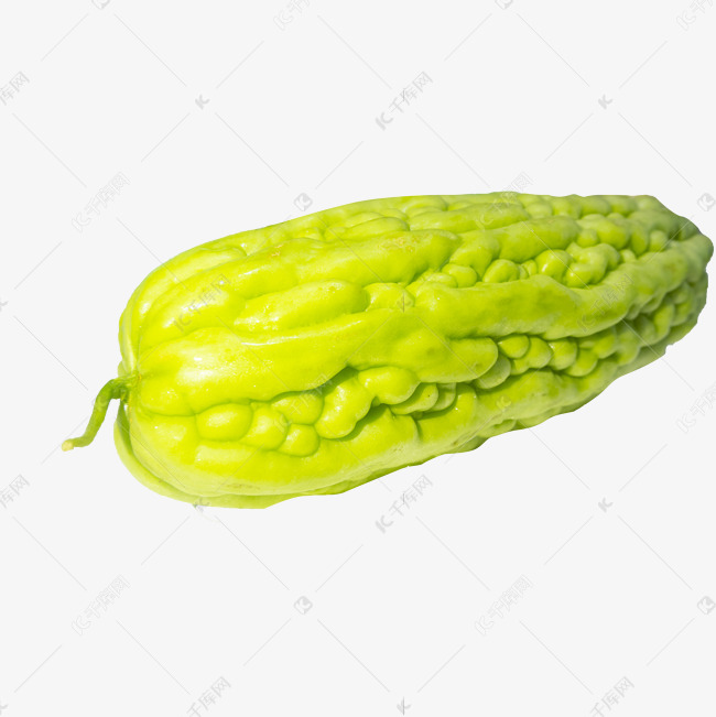 一条苦瓜