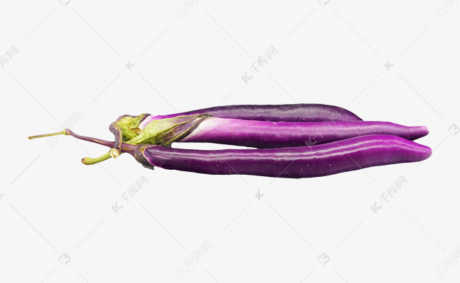紫色蔬菜长茄子