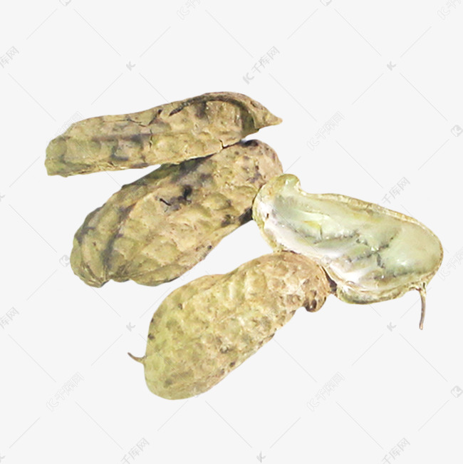 花生壳干垃圾
