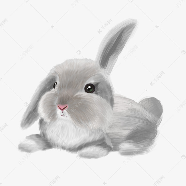 梦幻唯美动物小兔子素材