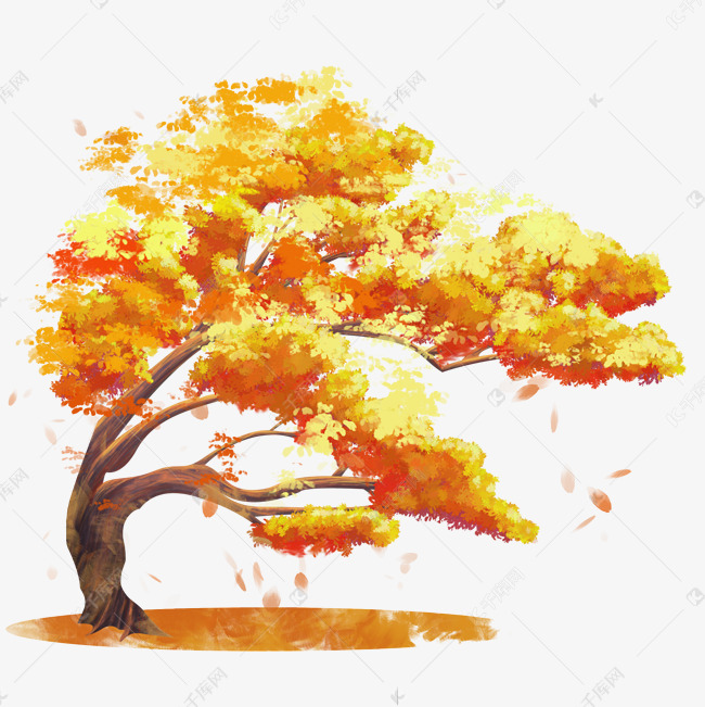 秋天枫树落叶素材