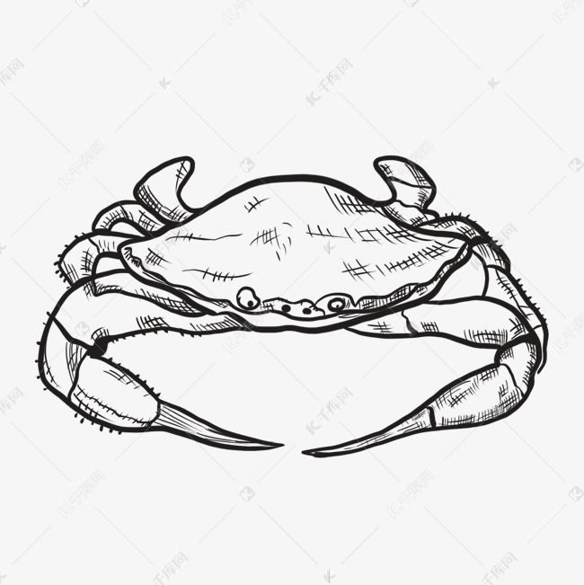 线描大闸蟹卡通素材
