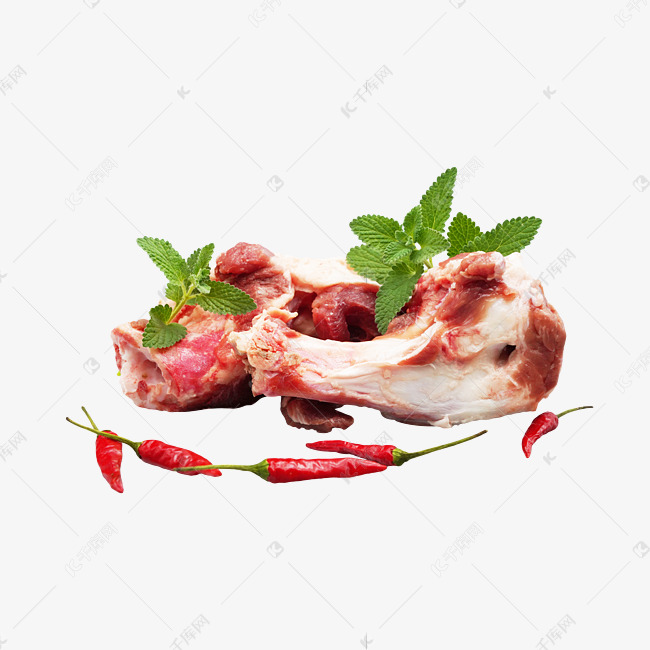 成语什么骨生肉_狐狸在说什么生肉(3)