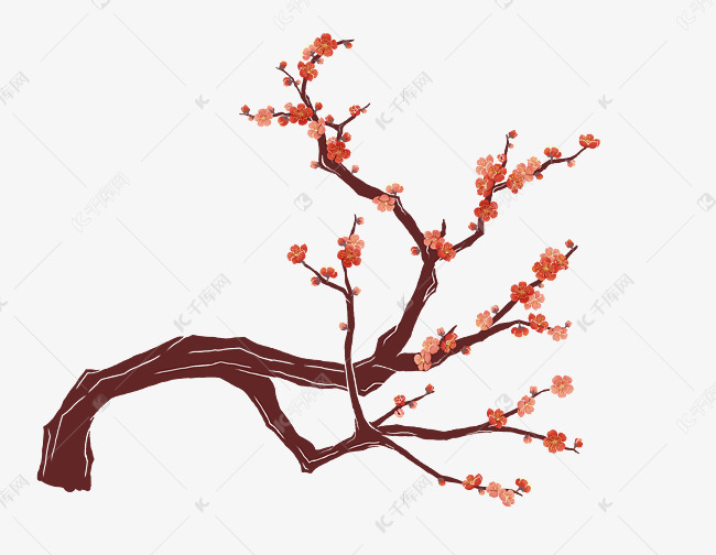 树枝上的梅花朵儿