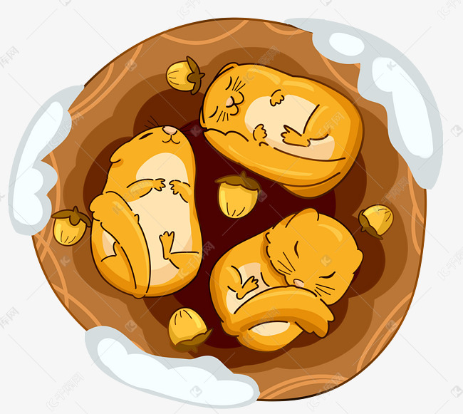 冬季冬眠的小松鼠