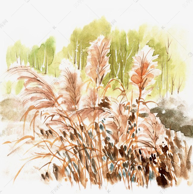 水墨画芦苇荡