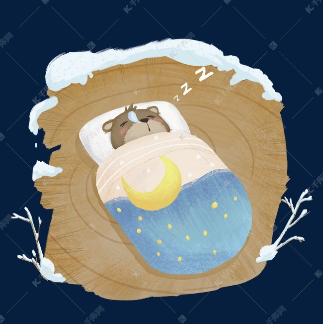 冬眠野生动物棕熊