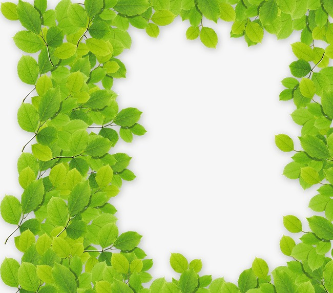 绿色树叶边框