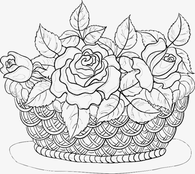 素描花篮