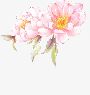 花朵花朵花卉手绘中国风古风
