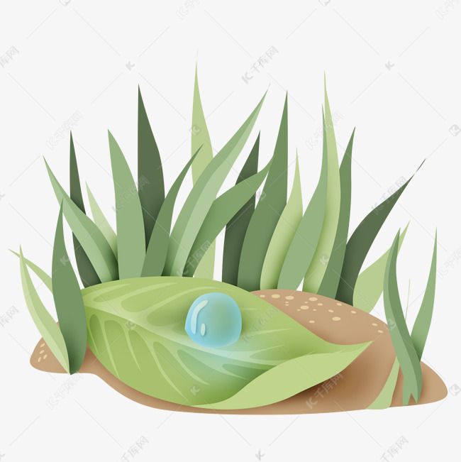 早晨露珠水珠绿色小草草地清晨