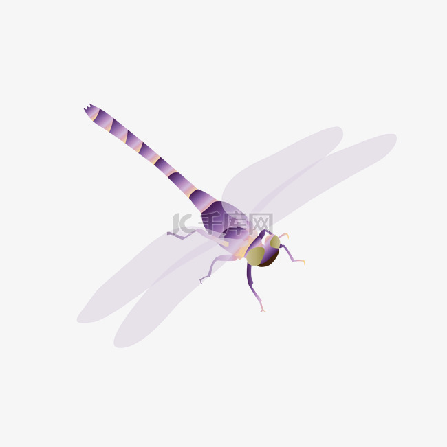 昆虫逼真蜻蜓3D立体矢量图