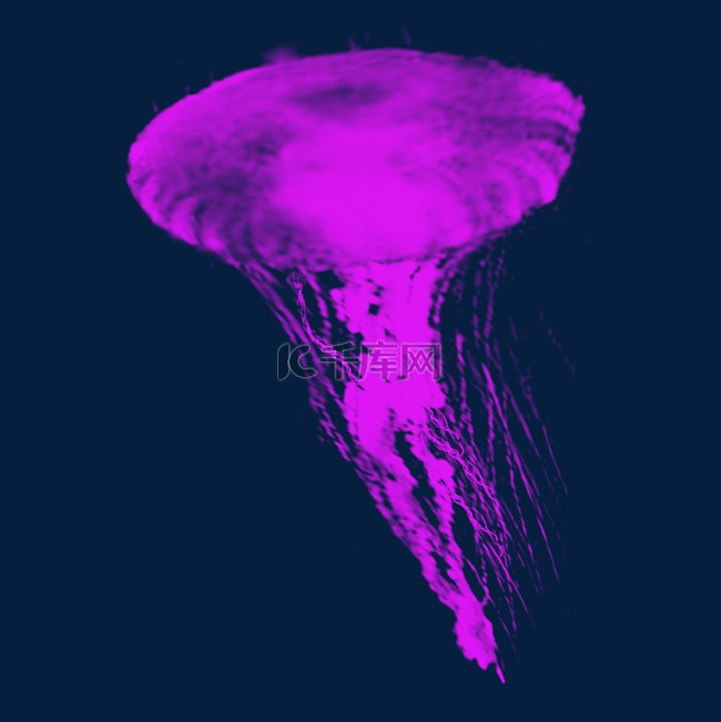 浮游生物紫色水母元素
