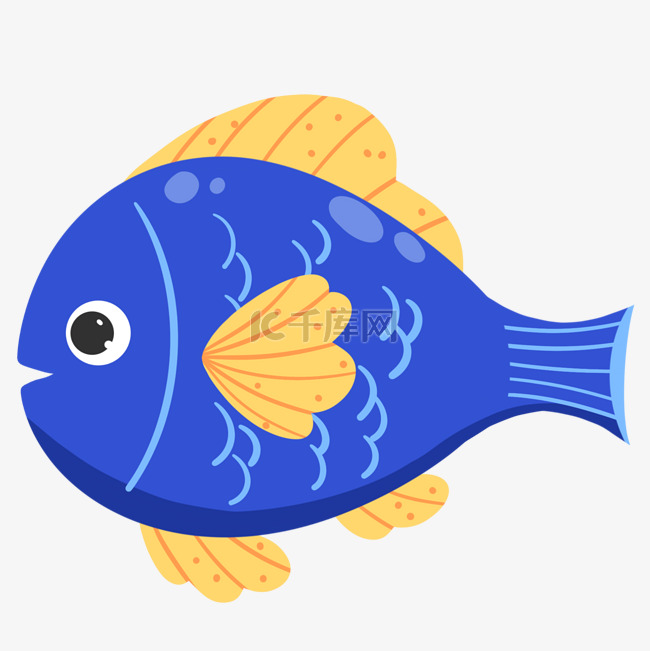 鱼装饰彩色生物鱼类蓝色
