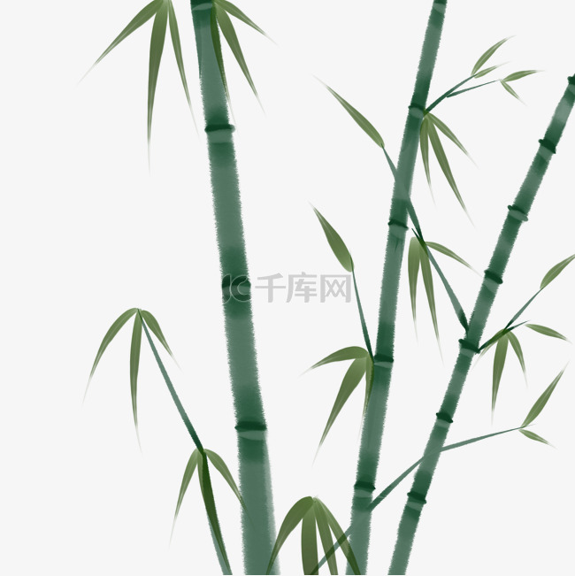 手绘中国风绿色的竹子