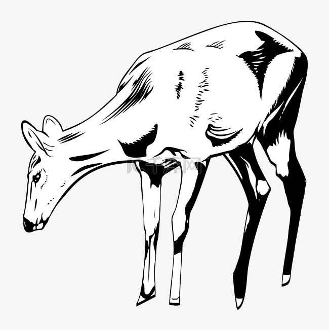 手绘小鹿动物元素