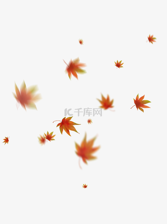 漂浮的枫叶秋天飘落的红枫叶手绘
