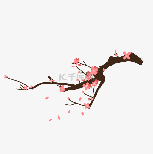 开花的桃树枝插画