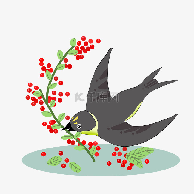 漂亮的燕子和红果实插画