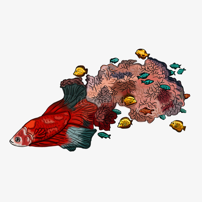 手绘插画珊瑚金鱼