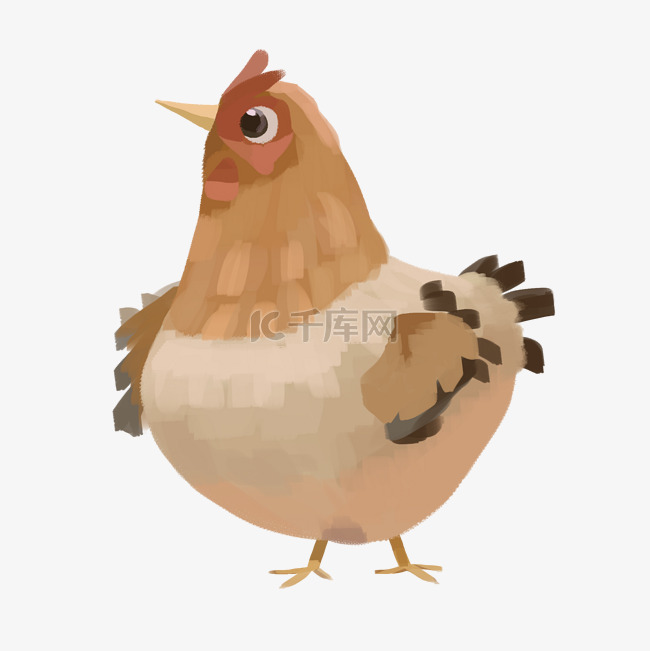 手绘棕色的鸡插画