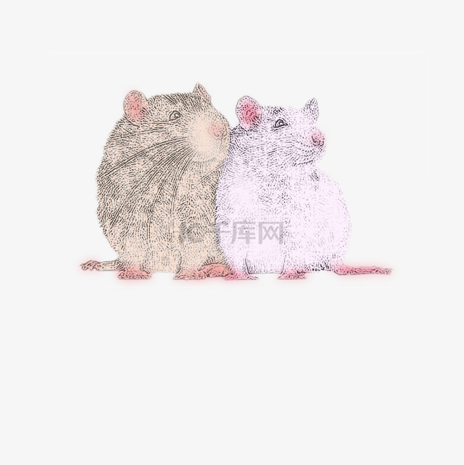 手绘插画素描十二生肖老鼠