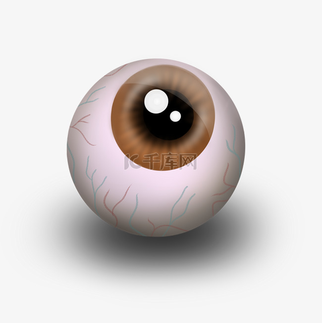 眼部结构眼球插画