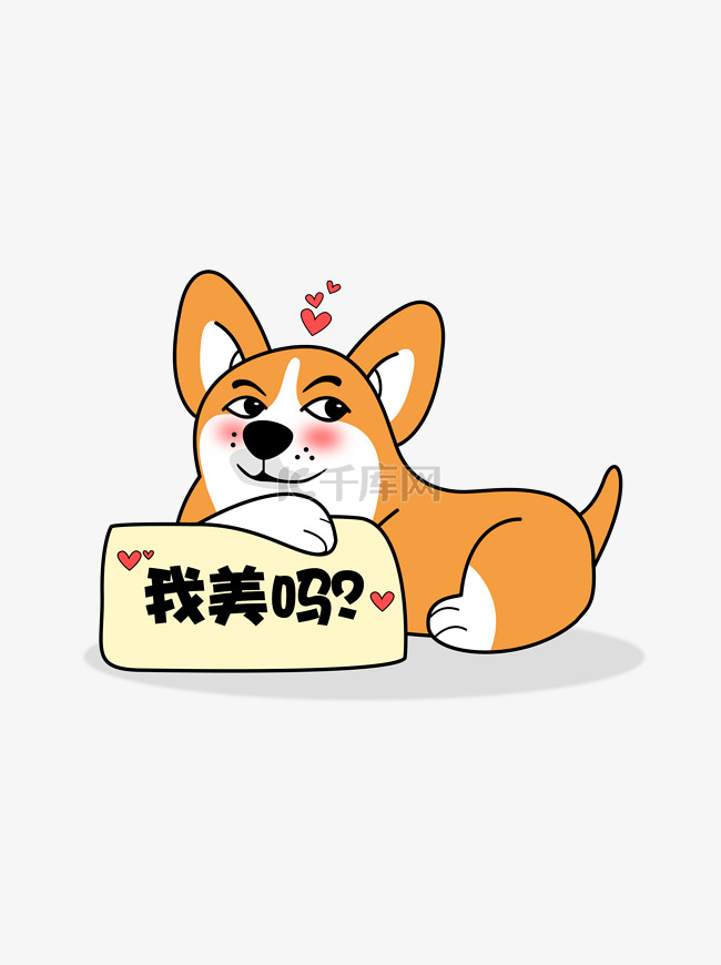 可爱自恋爱臭美的柴犬狗狗