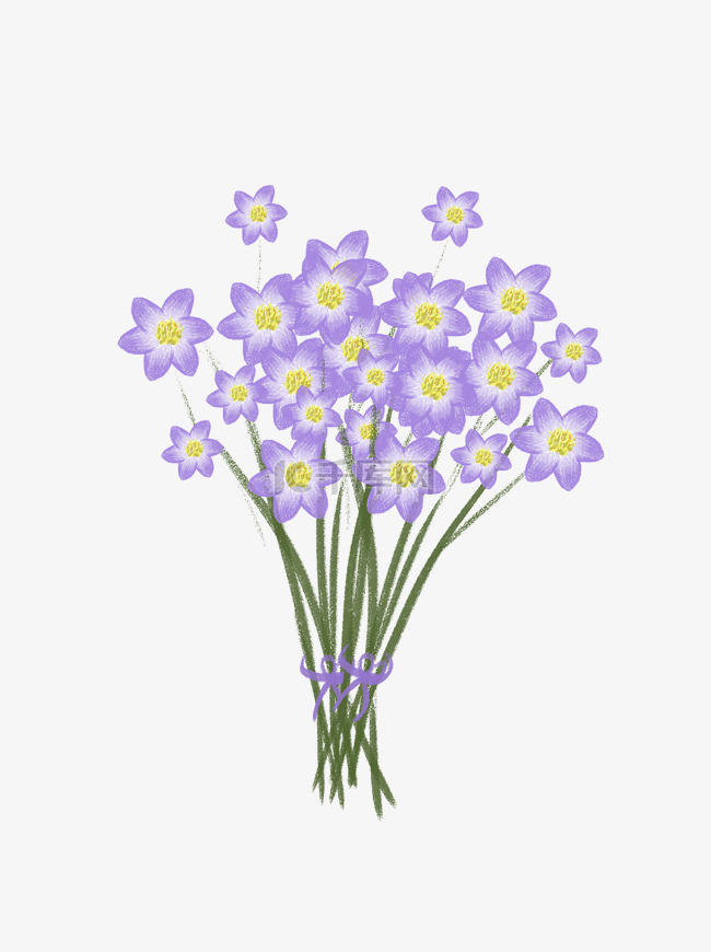 手绘小清新紫色花束植物花卉