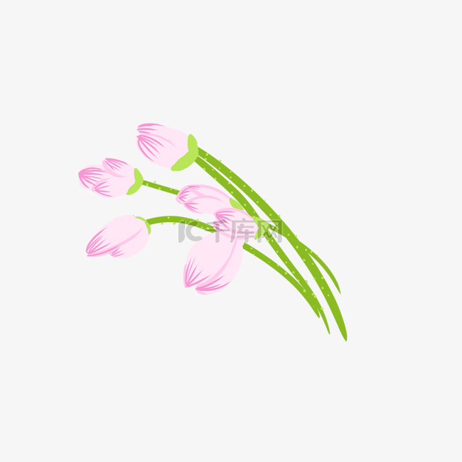  粉色花朵