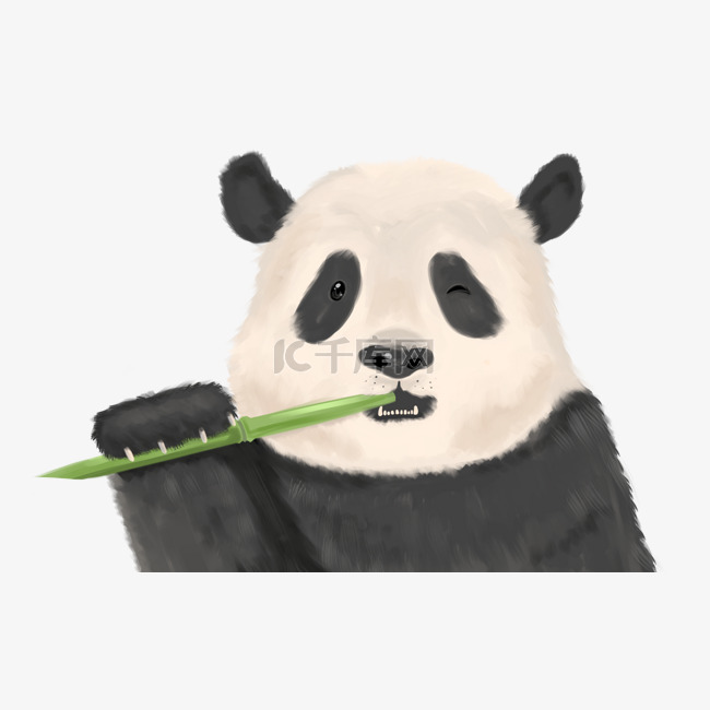国宝熊猫手绘插画