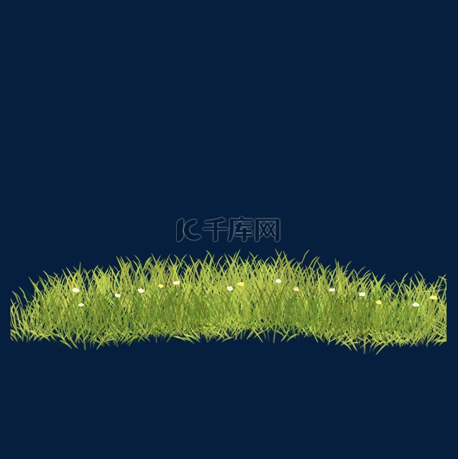 绿色野花草坪