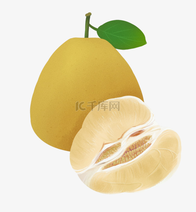 水果主题之柚子插画