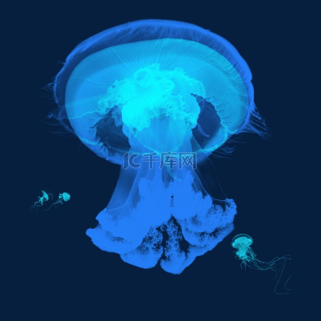 蓝色海底水母章鱼元素