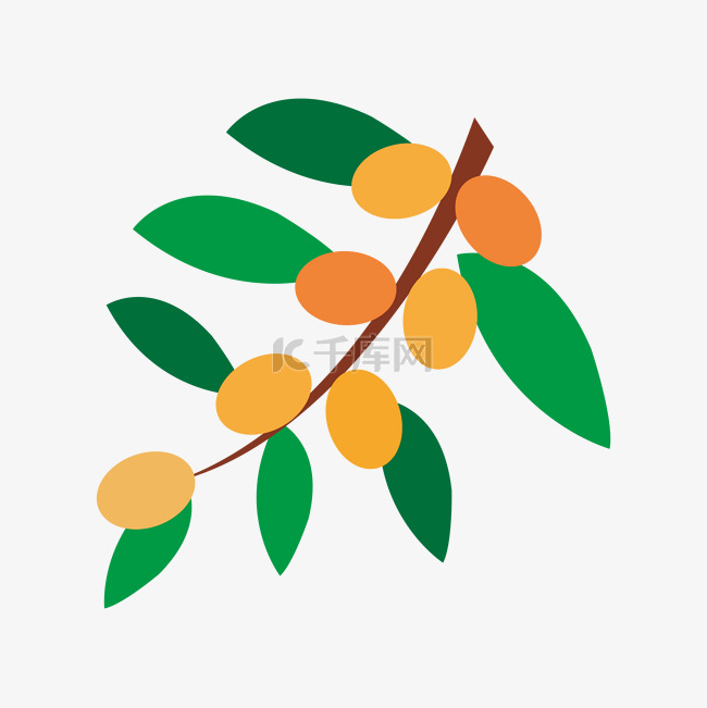 卡通摩洛哥坚果植物装饰元素
