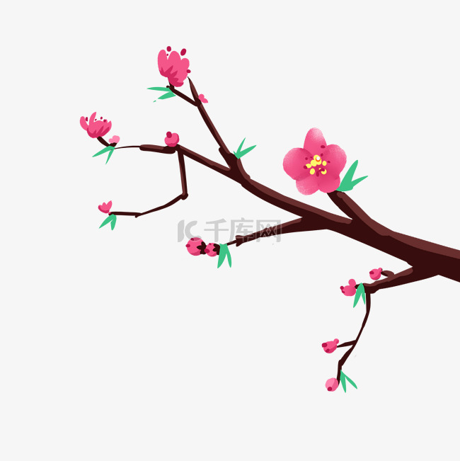 春天美丽的花枝插画