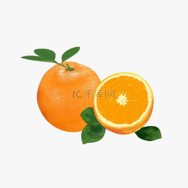 橙子手绘png下载