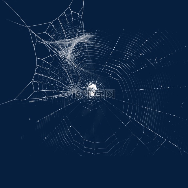残缺的蜘蛛网设计效果