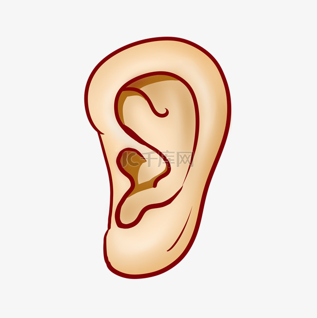 卡通器官耳朵