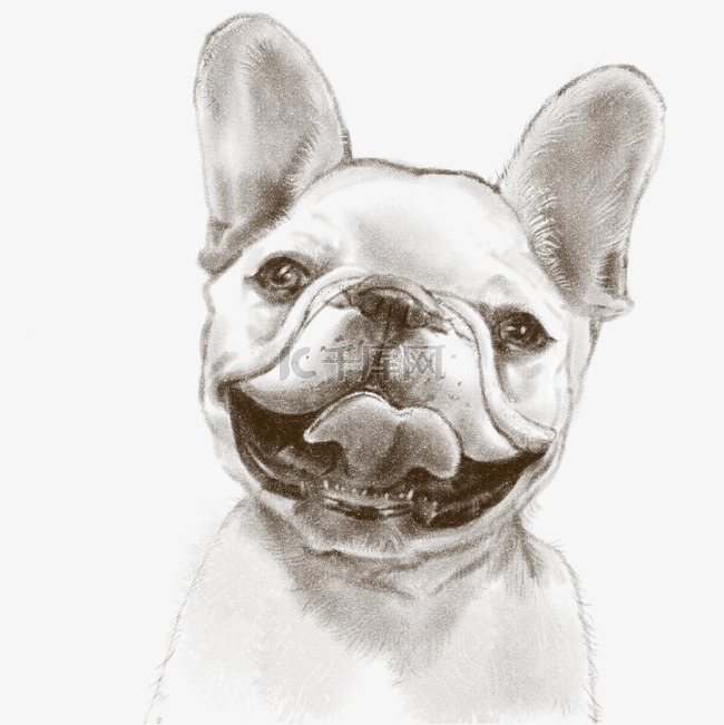 线描可爱的小狗插画