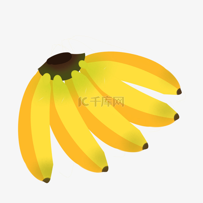 大串成熟香蕉