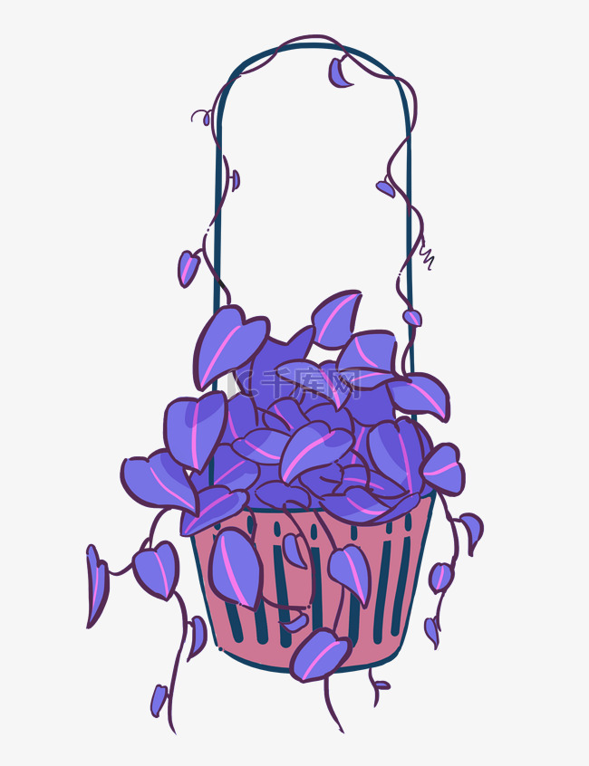 紫色的盆栽手绘插画