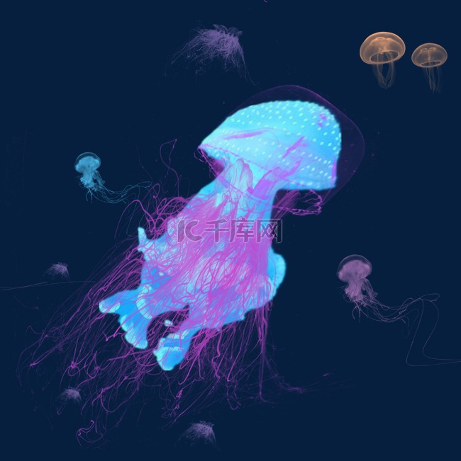 浮游生物彩色水母元素