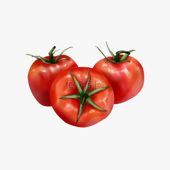 蔬菜西红柿的插画