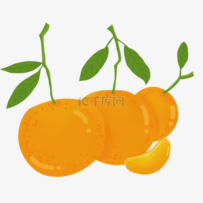 柑橘手绘插画
