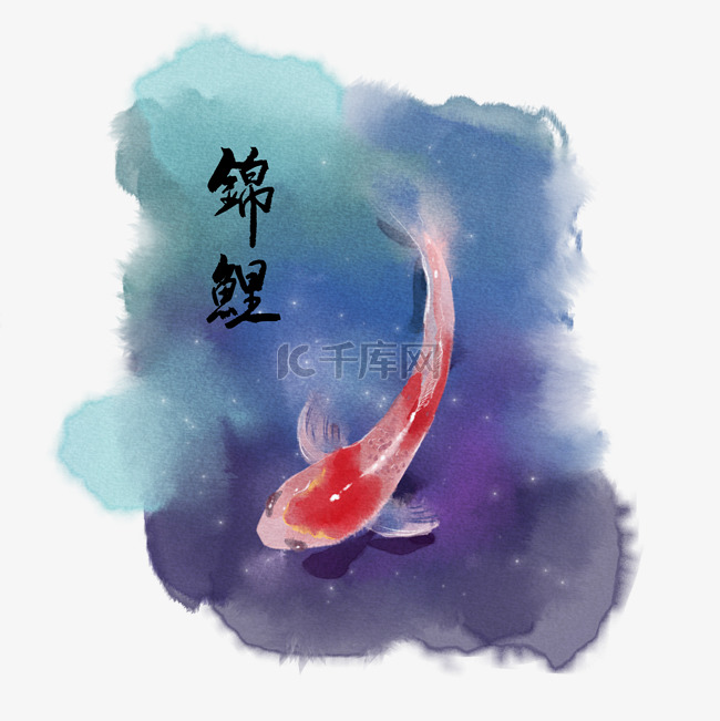 水彩手绘插画白色锦鲤