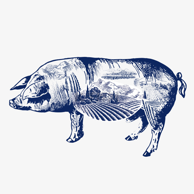 健康猪肉免抠下载