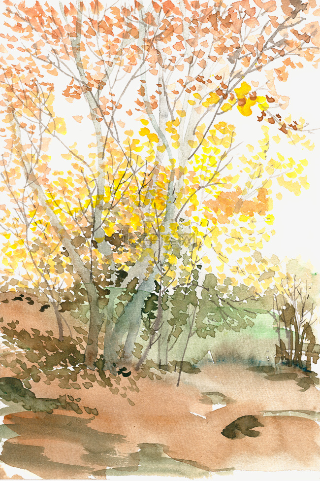 秋天的小树林水彩画PNG免抠素材