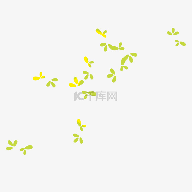 黄绿蝴蝶花